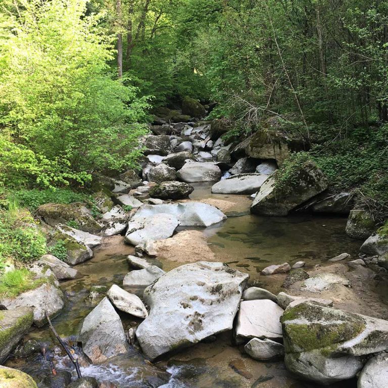 Forellentümpel Klamschlucht